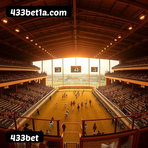 Grandes vencedores 433bet de São Paulo, Rio de Janeiro, Belo Horizonte - Saques PIX confirmados